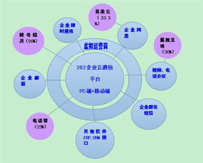 二六三 瞄準未來，鑄就企業互聯網通信與信息服務王牌